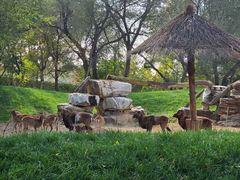 -北京野生动物园