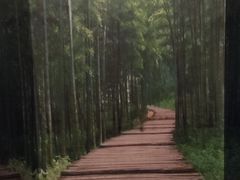 -足本纪·足道 SPA 简餐 小吃(文三西路店)