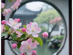 -长白岛森林公园