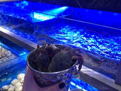 -奢谷·海鲜自助(南海万科店)