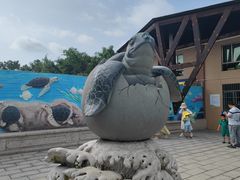 -广东惠东海龟国家级自然保护区