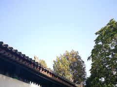 -奈雪的茶(大悦城店)