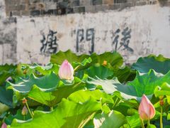 -崇仁古镇