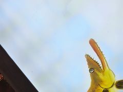 -徽三说·土徽菜·中国徽菜连锁品牌(一中店)