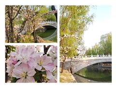 -朝阳公园游乐园