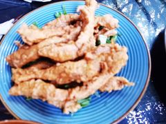 辣鸡条-萨尔瓦多Salvador's