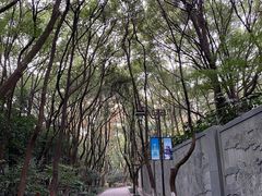 -杭州半山国家森林公园