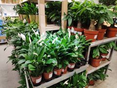 -宜家家居(西安未央商场店)