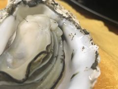 -蚝专家(北滘店)