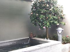 -凤翔首邑温泉度假村