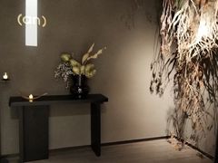 -安屿an·spa(卓悦中心商场店)