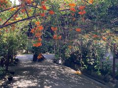 -天龙八部武侠城