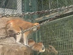 -泉州海丝野生动物世界