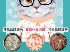 -A猫a狗全科·犬猫异宠·芥西宠物医院(南开总院)