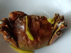 -蟹榭·本帮江浙菜·蟹宴(五角场合生汇商场店)