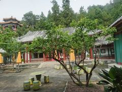 -宫事颐庭·老佛爷贵寿下午茶(颐和园店)