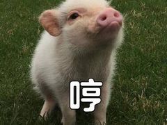 -宝岛甲壳虫KTV(蓝天路店)