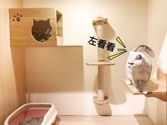 -Double Rui宠物酒店