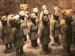 -济州岛泰迪熊博物馆