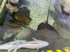 -野山舂·贵州现舂酸汤火锅(鸿通城店)