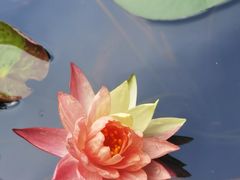 -淮安曙光国际大酒店(大运河广场花街店)