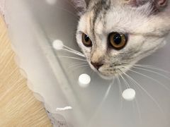 -美联众合动物医院·24h京西诊疗中心
