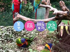 -上海野生动物园