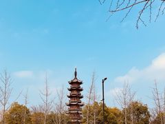 -龙华寺