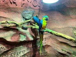 -Zoolung Zoolung动物主题公园(海信广场店)