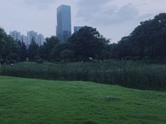-后襄河公园