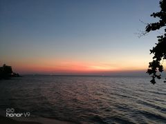 -卷心菜和避孕套餐厅(Pattaya)