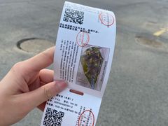 -盐城丹顶鹤湿地生态旅游区