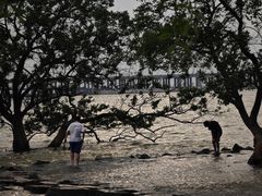 -宝安西湾红树林湿地公园