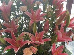 -悦百味·品质川菜(橄榄郡店)
