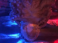 -沈阳海洋探索中心