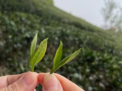 -天目湖涵田度假村