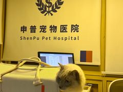-申普宠物医院·心脏介入·心血管微创(总院)