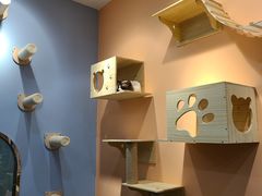 -BABIT巴比特宠物(MOMOPARK店)