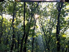 -沈阳辉山风景区