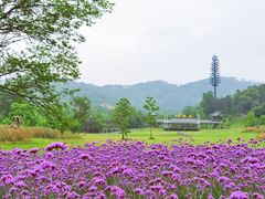 -黄陂区野村谷景区