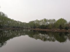 -东升八家郊野公园