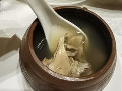 羊肚菌炖乳鸽-臻宝中餐厅·大连菜·海鲜·融合菜(大连一方城堡豪华精选酒店)