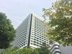 -新加坡文华东方酒店