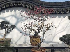-绮园景区
