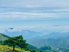 -灵山