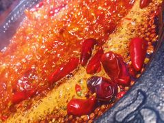 牛油微辣-花海牛火锅(泰合店)