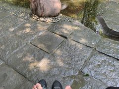 -成都市活水公园
