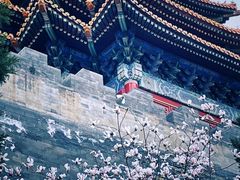 -东华门大街小区