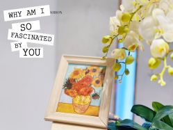 -MIVI野生眉纹绣纹眉