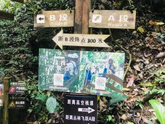 -西双版纳原始森林公园
